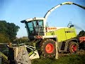 ensilage 2008 avec claas jaguar 890