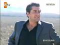 beyaz+gelincik