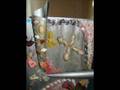 videos de Movie_0002.wmv