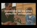 ramon   el profesional