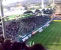 after the goal fans roaring