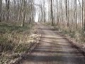 le sentier des murmures : route de la sérénité 1