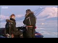 bbc: search for the polar bears   first sighting of a polar bear