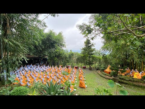 NIKAYA Khất Thực - Thiền Quán Viễn Ly Lạc & Trình Pháp **