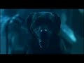 Elliot Minor - The White One Is Evil