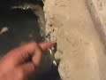 How a basement sump pump works How a basement sump pump works
