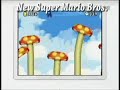 Nintendo DS Games Compilation Nintendo DS Games Compilation