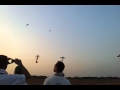 6 hovers ranging from 20 to 150 cc @ HFAA meet surat 2012