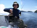 Pesca de Pavon