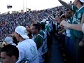 Mancha cantando o Hino Do Palmeiras e Bandeirão Subindo.