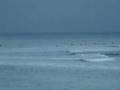 Today's Sunrise Surf's Up
