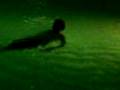 Darren jumps in pool at night