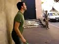 hitting-a-tree.html