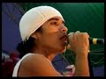 orquesta papillon - amigo orquesta papillon - amigo
