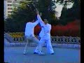 Yang-Style Taiji Pushhand - 2