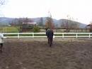Kai, friesian gelding Kai, friesian gelding