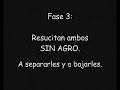 Como matar a Romeo y julieta