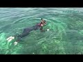 Koh Phi Phi Guide