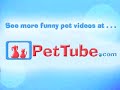 Thumbnail #3