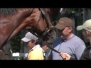 Inside Information - Big Brown
