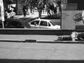 Paulista-Dicotomia