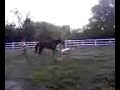 Ground drivingThunder over jumps Ground drivingThunder over jumps