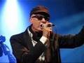 Alain Bashung - Je T ai Manqué