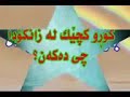 كجى كورد له زانكۆ