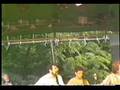 I will never be your fool - David Bromberg