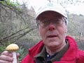 Mushrooms at Earth Sanctuary