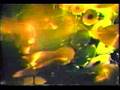 Venom - Witching Hour (Live Combat Tour 1985)
