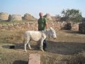 Maneesh Sethi - 4HWW Success as a Digital Nomad