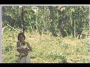 V�deo - Jeane - By Pollito MD