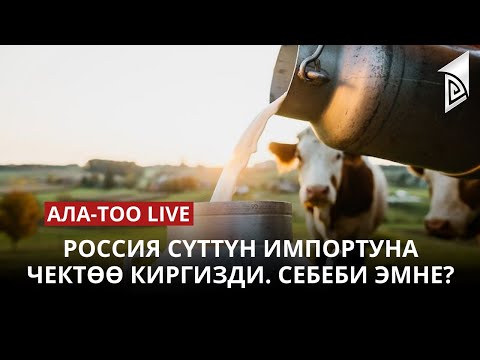 Россия сүттүн импортуна чектөө киргизди. Себеби эмне? | 24.04.2023