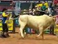 Pro Bull Riding - Victims of the Game