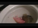 Cake Flush 3