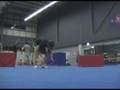 videos de TFT Tricking Sampler Oct-Nov08
