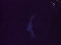 Last Train Home-LostProphets Engine Shed- Lincoln 21.11.09.AVI