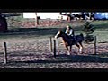 Shiloh Don't You Feel the Rush **Preview**