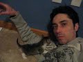 3/31/08 kittens 3/31/08 kittens