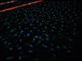 Light Field