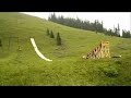 YouTube - The Big Slip