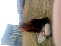 Blogg2