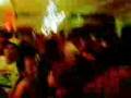 pARty AnImALs.3gp