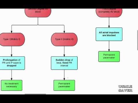 how to apply for step 2 ck exam