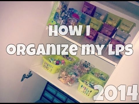 how to organize vinyl records