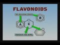 Sky Fruit contains Flavonoids found in Ginkgo bilo