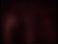 michael kempf - guitar
benny burget - bass
walter lenz - drums
konzertmitschnitt 21.5.1994 kulturflut offenburg