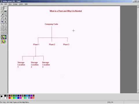 how to define plant in sap sd