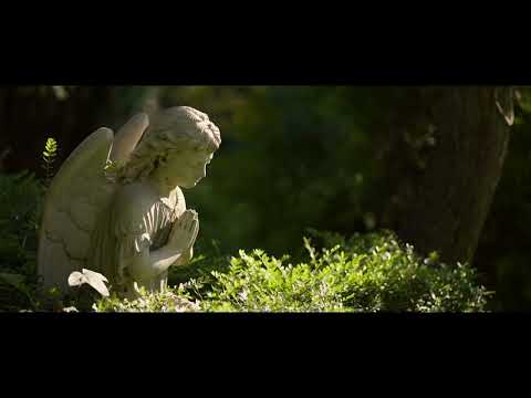 Video Prodej rodinného domu 277m2, se zahradní oázou 3435m2